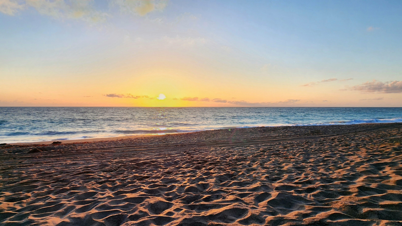 Real Estate Portfolio in Florida